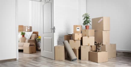 investissement-locatif-rentable